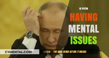 Exploring the Mental State of Vladimir Putin: A Psychological Analysis