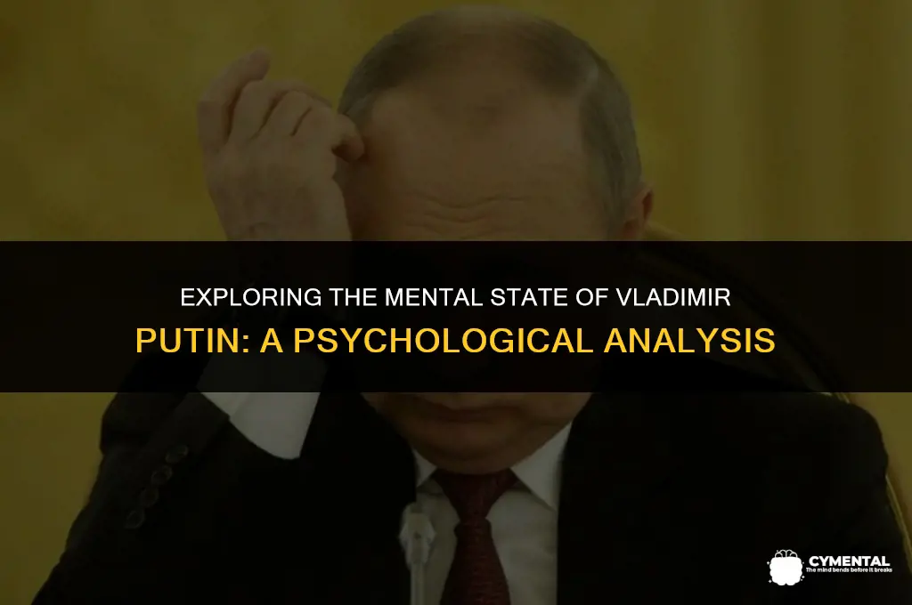 is putin having mental issues
