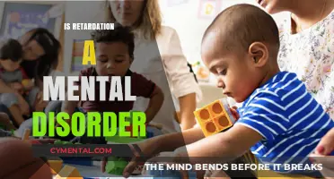 Understanding Intellectual Disabilities: A Comprehensive Overview