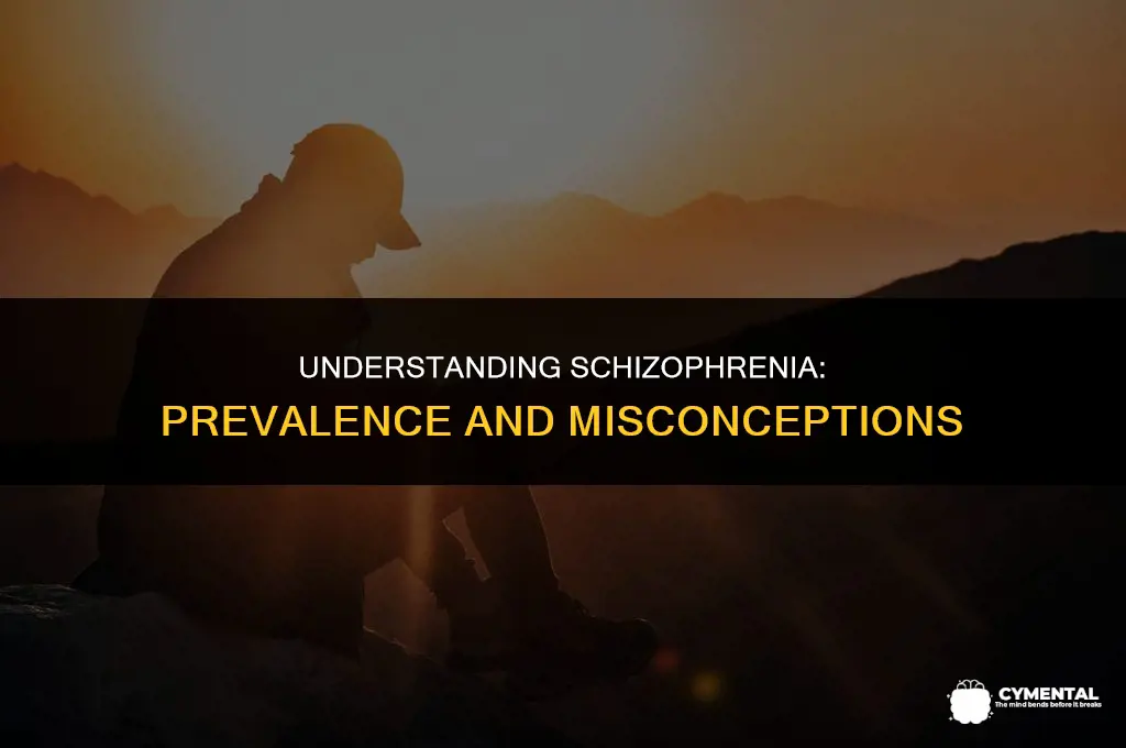 is schizophrenia a common mental disorder