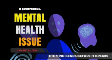 Unraveling the Complexities: Schizophrenia and Mental Health