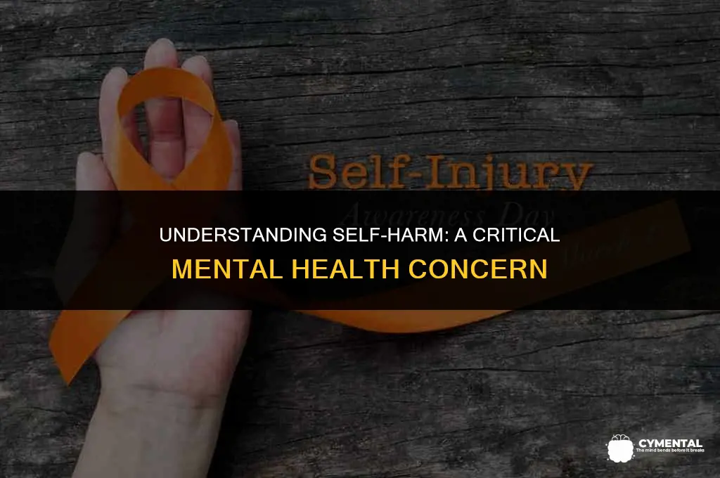 is self harming a mental health issue