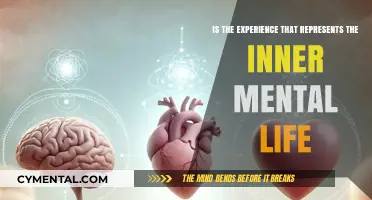 Exploring the Depths: Inner Mental Life Unveiled