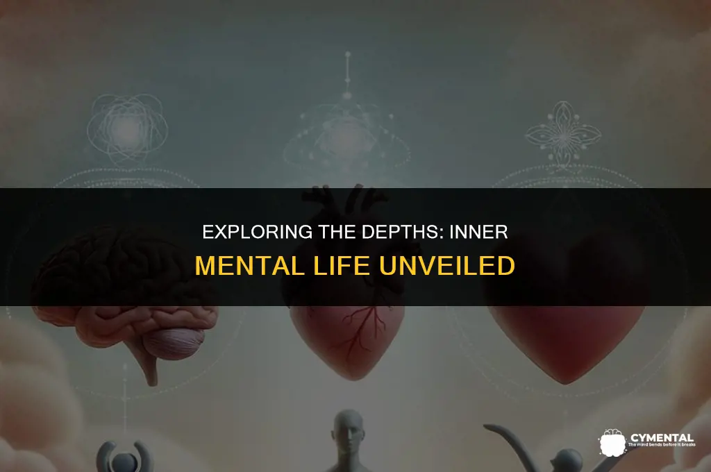 is the experience that represents the inner mental life