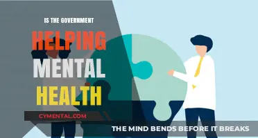 Government's Role in Mental Health: Support or Shortfall?