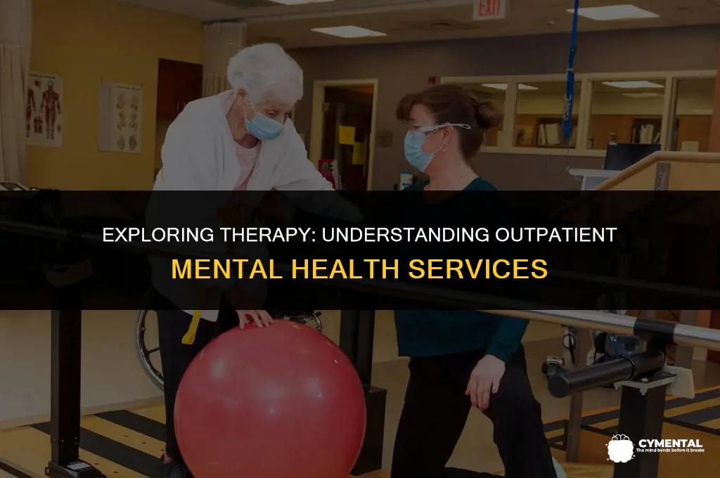is therapy considered outpatient mental health