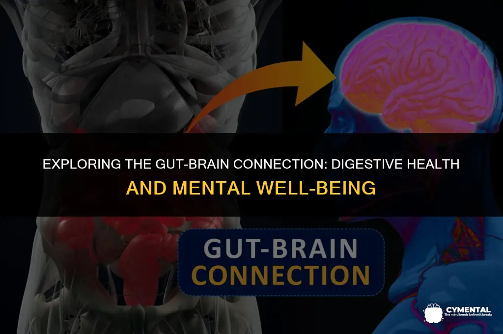 is there a link between digestive issues and mental health