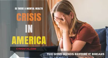 Unraveling the Mental Health Crisis in America: A Deep Dive