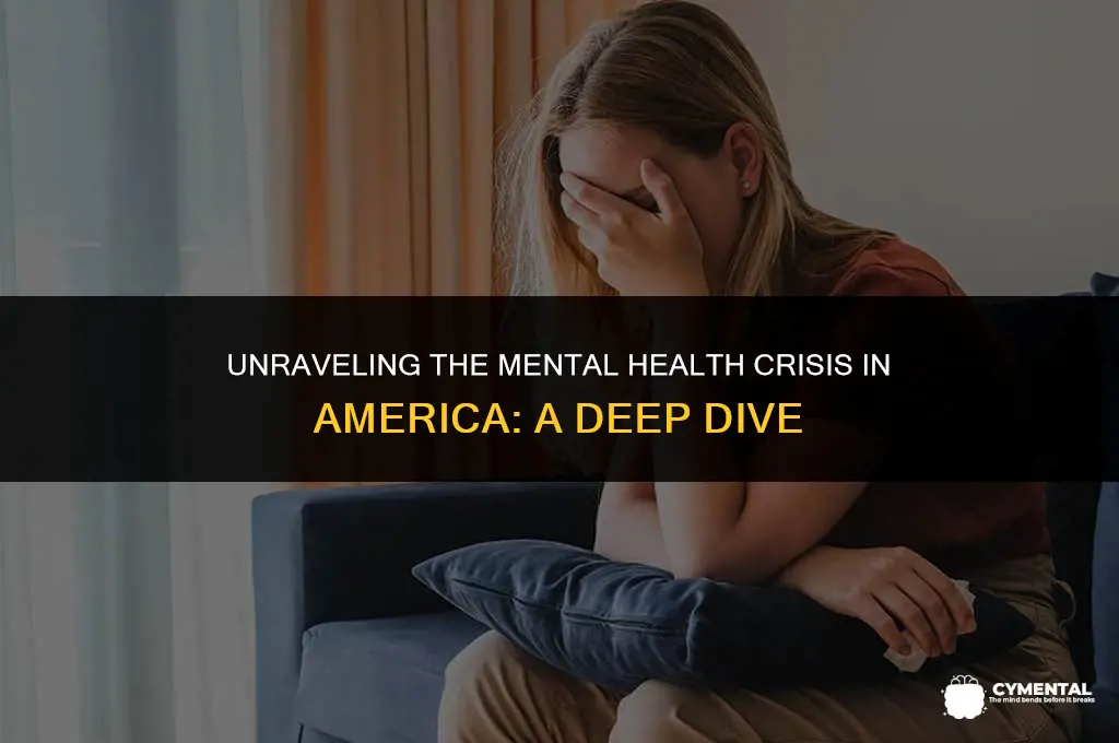 is there a mental health crisis in america