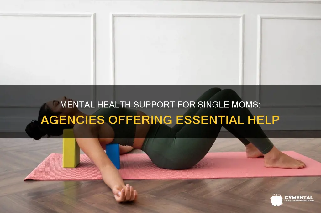 is there an agency that help single mom mentally