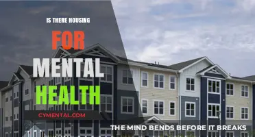 Exploring Housing Options for Mental Health Support
