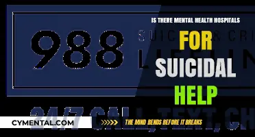 Finding Hope: Mental Health Hospitals for Suicidal Crisis Support