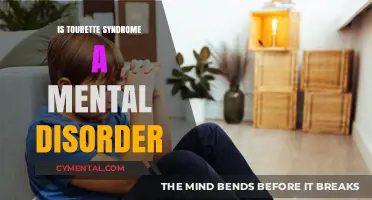Understanding Tourette Syndrome: Mental Health Perspectives