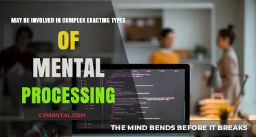 Exploring the Cognitive Demands of Complex Mental Processing