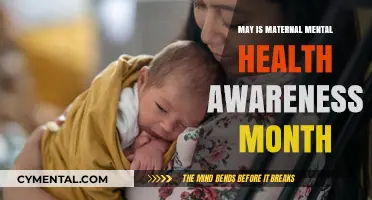 Nurturing Minds, Nourishing Souls: Embracing Maternal Mental Wellness