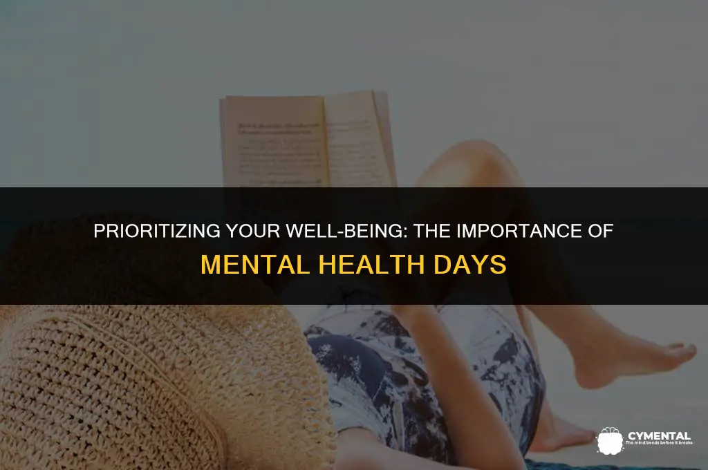 should i take a mental health day