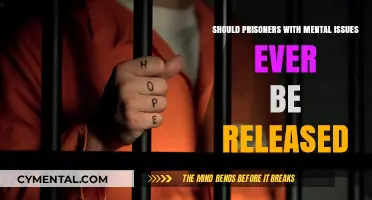 Navigating the Complex Release of Prisoners with Mental Health Concerns