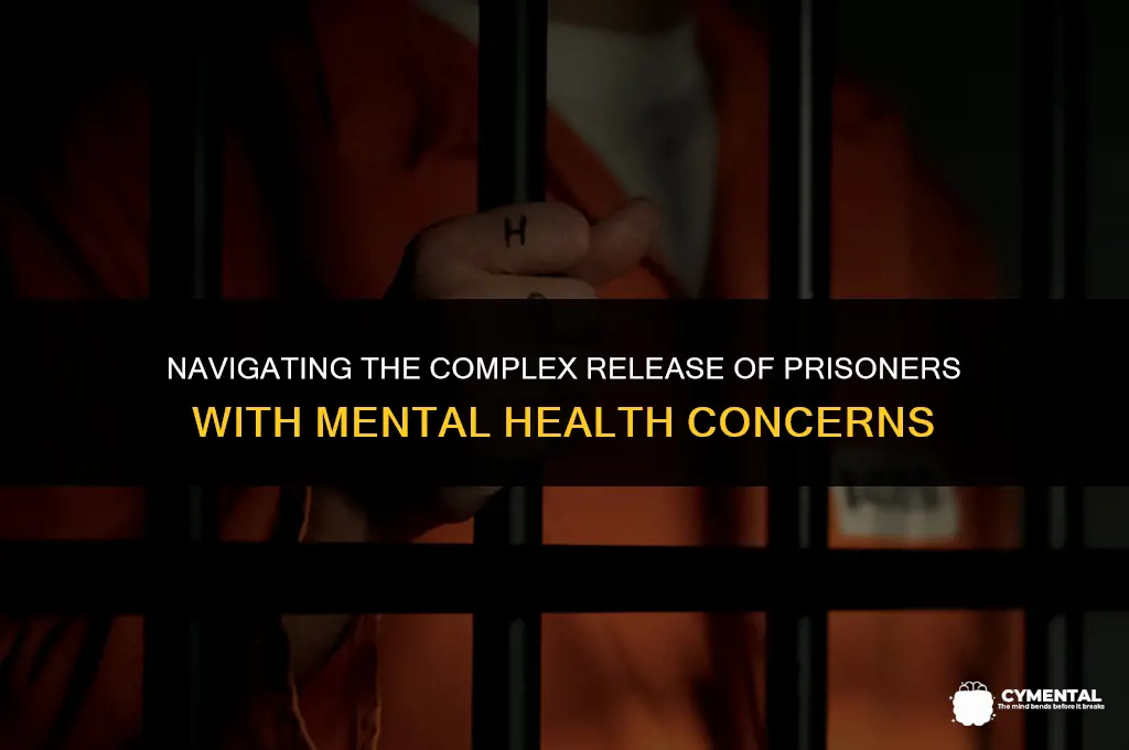 should prisoners with mental issues ever be released