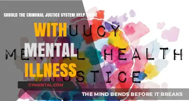Mental Illness and Justice: Reforming the System to Help, Not Harm