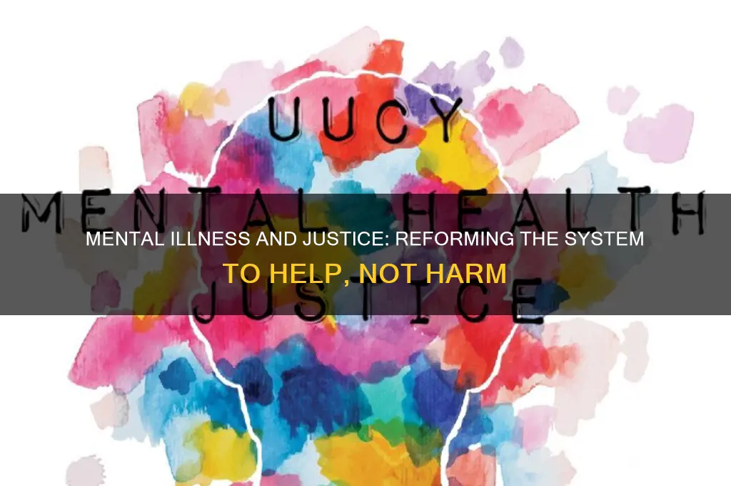 should the criminal justice system help those with mental illness
