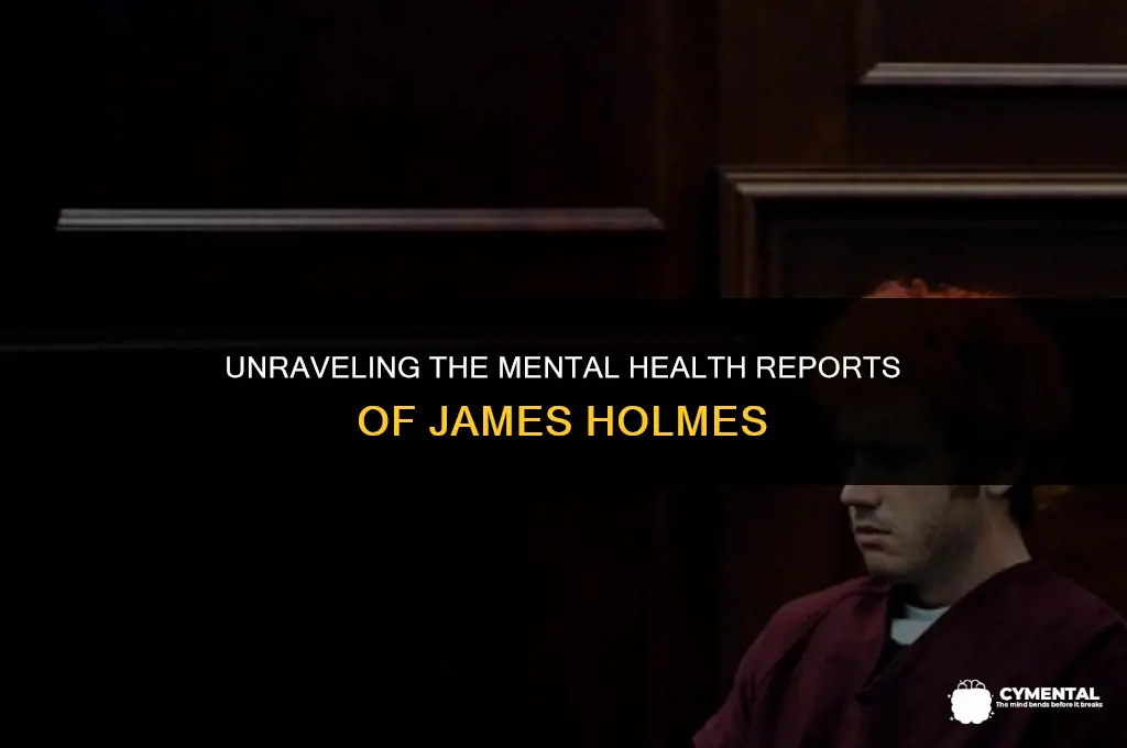 was james holmes reported for mental health issues