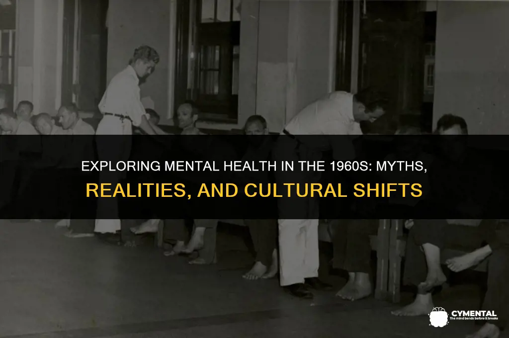 was mental health an issue in the 1960s