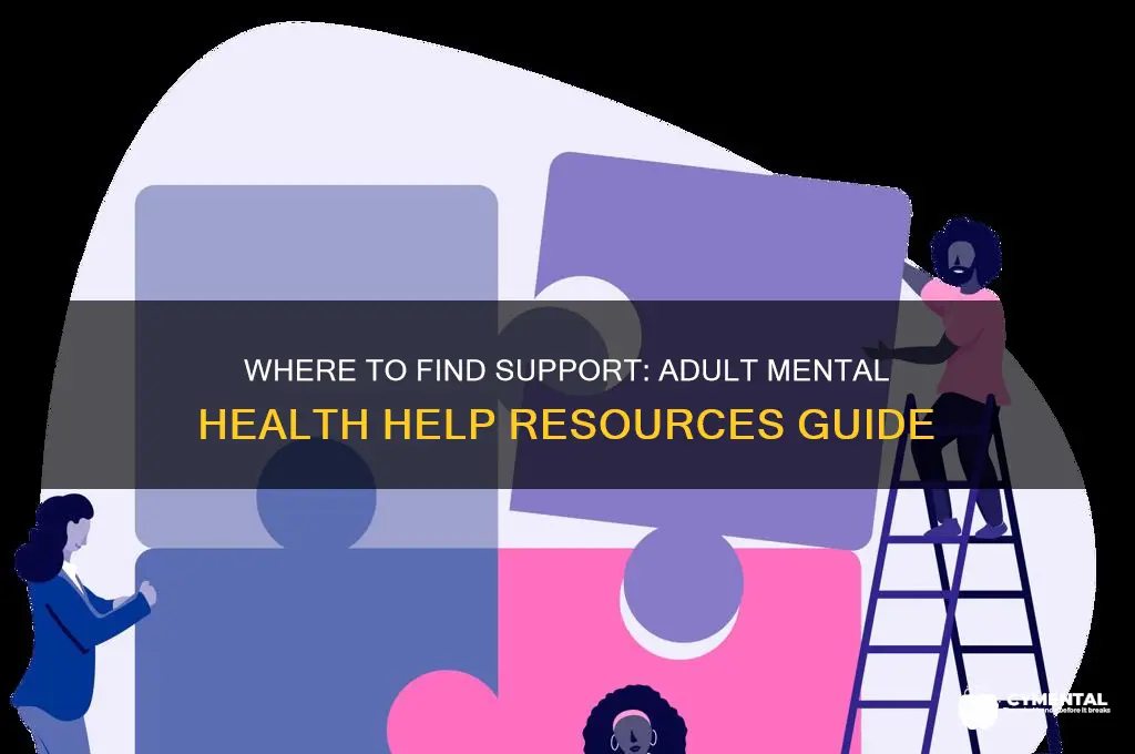 were do adult mental health people go for help