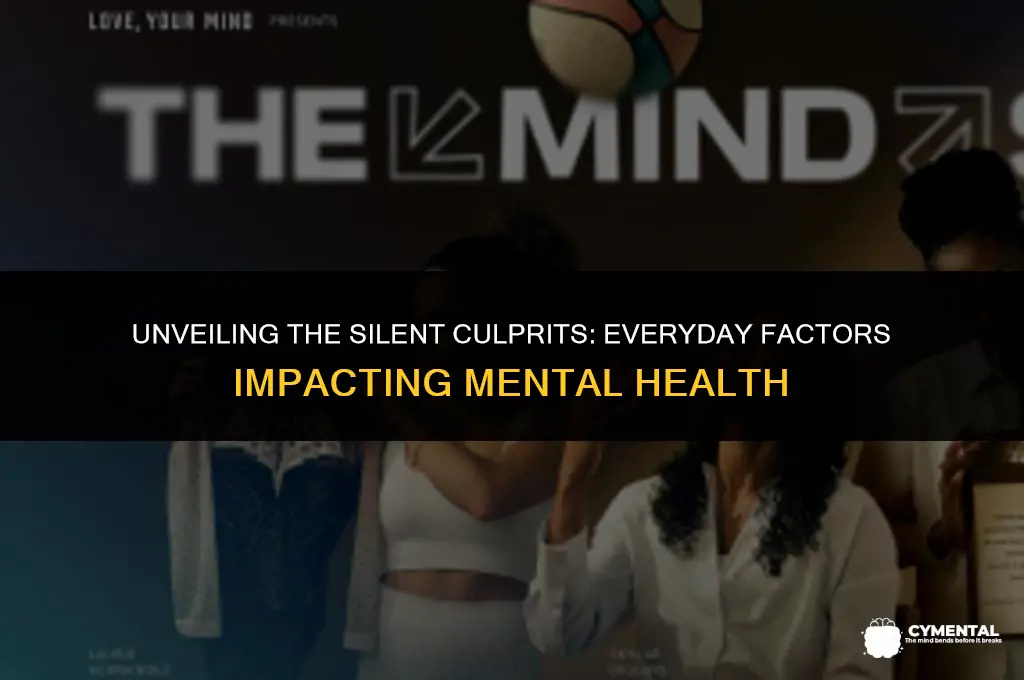 what adversely affects mental health issue quotes