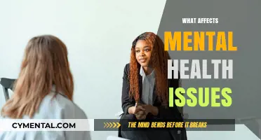 Exploring the Complex Factors That Influence Mental Health Issues
