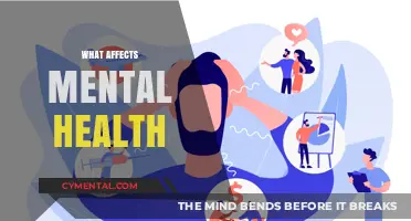 Exploring the Complex Factors That Influence Mental Health