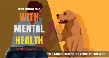 Healing Companions: Animals That Boost Mental Health and Well-Being
