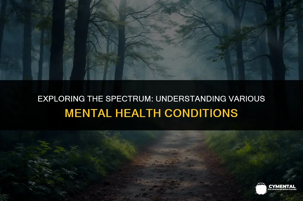 what are all the mental health issues