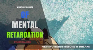 Understanding Mental Retardation: Causes and Prevention Strategies