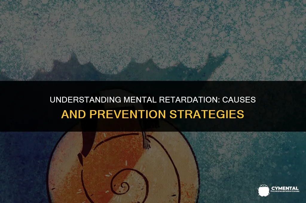what are causes of mental retardation