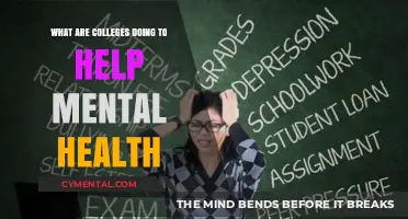 Colleges' Mental Health Initiatives: Support, Resources, and Student Well-being Strategies