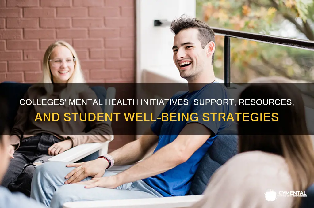 what are colleges doing to help mental health