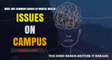 Exploring the Roots of Mental Health Challenges in College Life