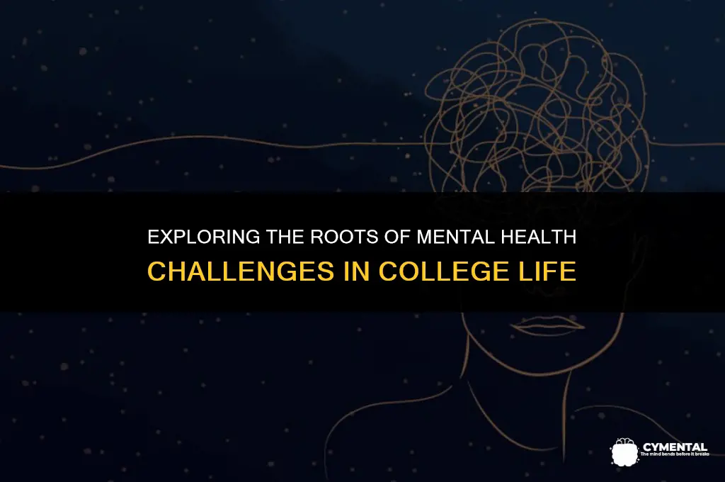 what are common causes of mental health issues on campus
