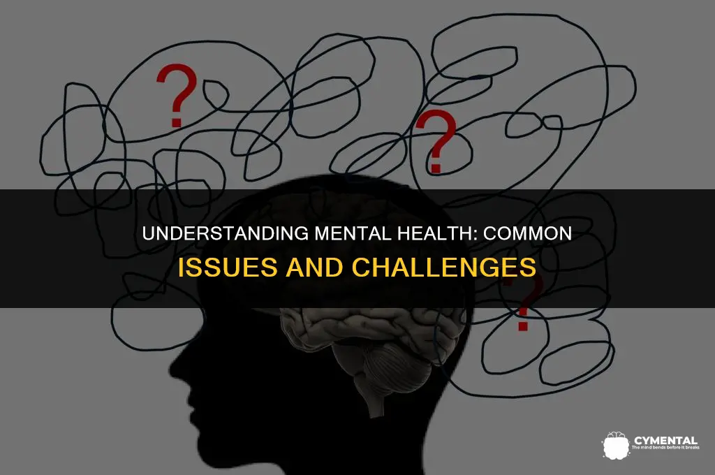 what are common mental health issues