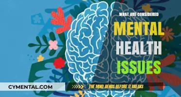 Understanding Mental Health: A Comprehensive Guide to Issues and Disorders