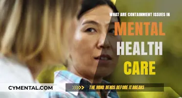 Navigating Containment Challenges in Mental Health Care Settings