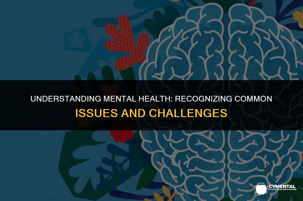 what are examples of mental health issues