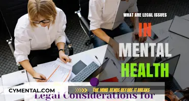 Navigating the Complex Legal Landscape of Mental Health Care