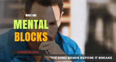 Unraveling the Mysteries of Mental Blocks: A Deep Dive