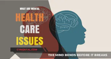 Understanding Mental Health Care Issues: A Comprehensive Guide