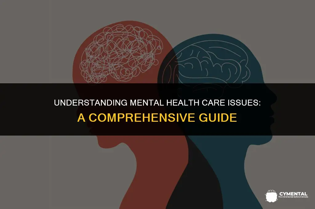 what are mental health care issues