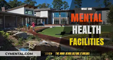 Understanding Mental Health Facilities: A Comprehensive Guide