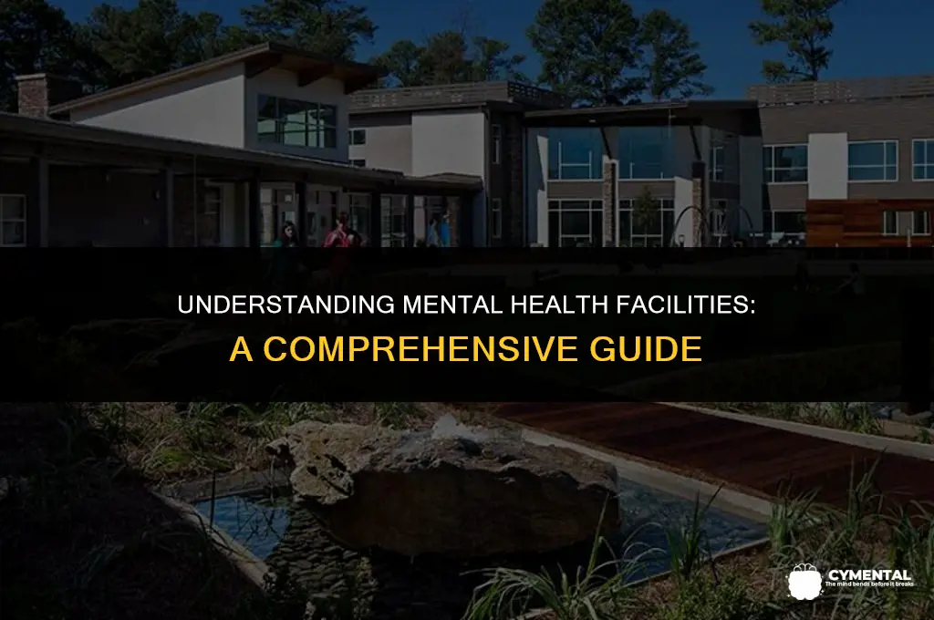 what are mental health facilities