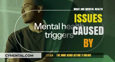 Unraveling the Roots: What Triggers Mental Health Issues?