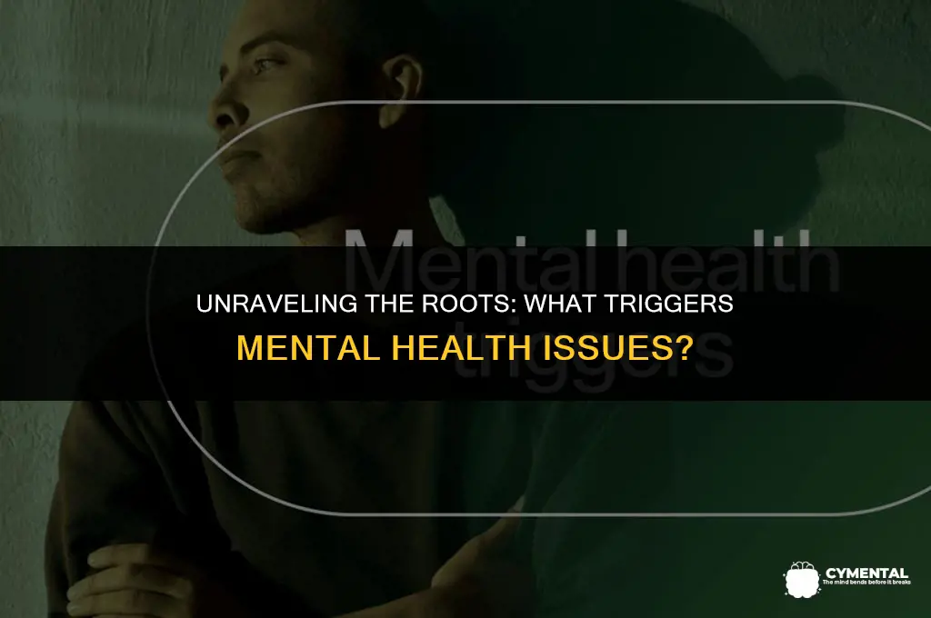 what are mental health issues caused by